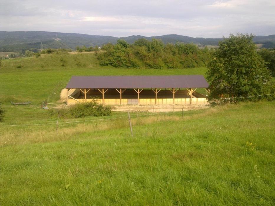 Campingplatz Stawy Zielona Dolina